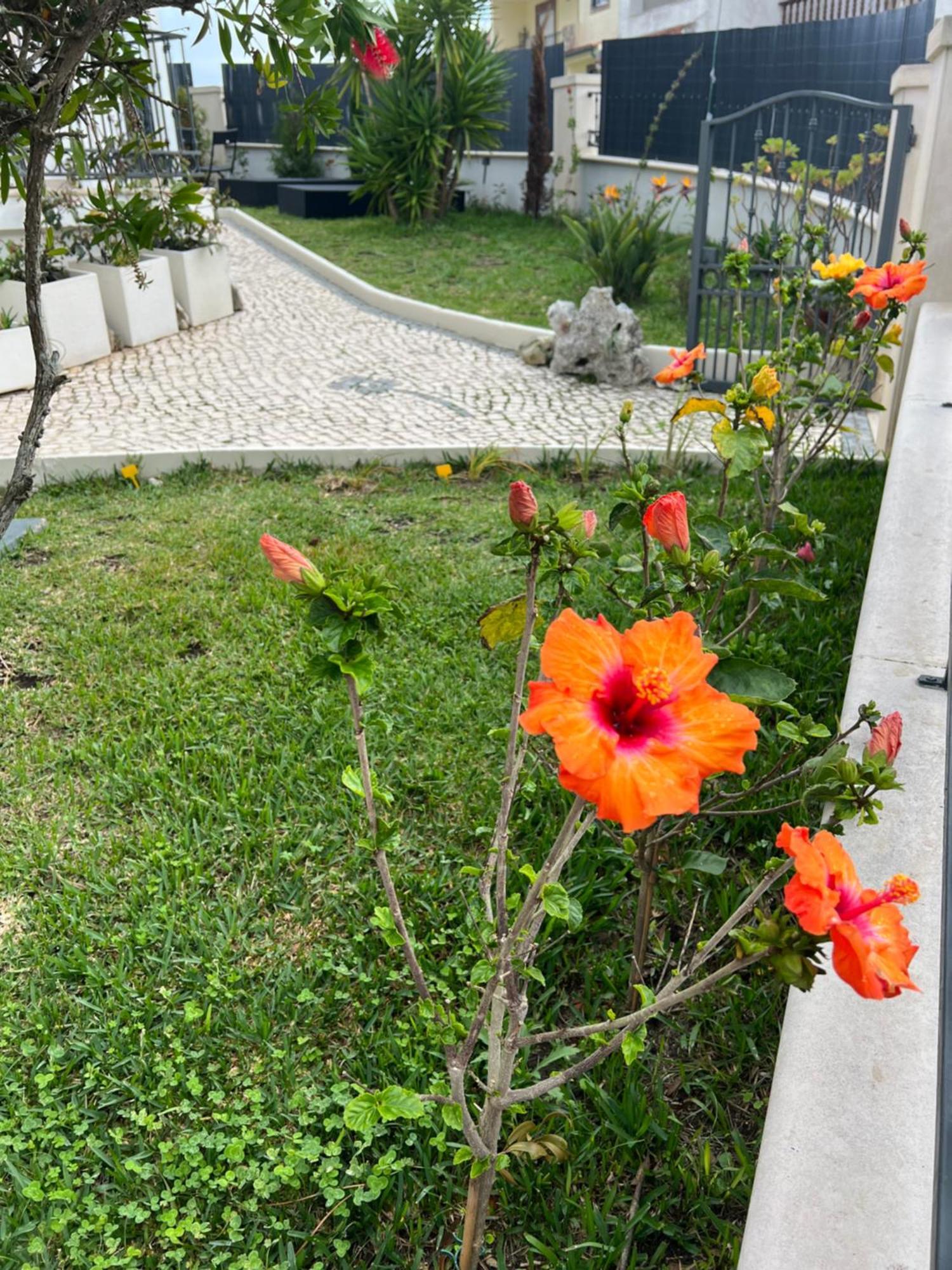 Nazare Oasis Suites Exterior foto